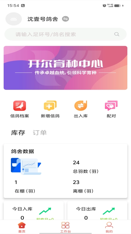 信鸽云