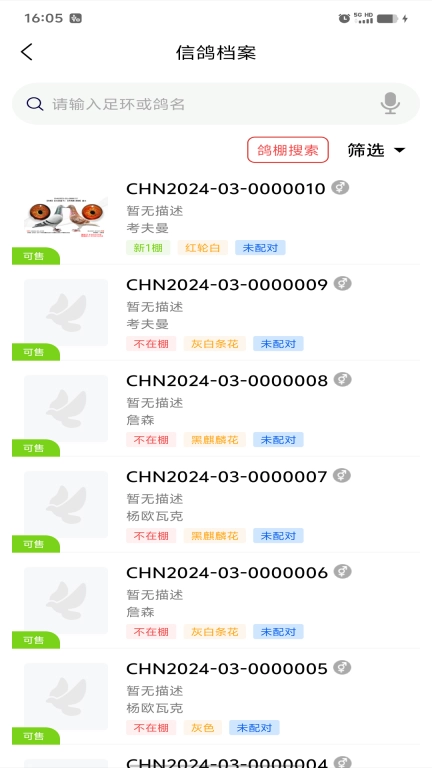信鸽云