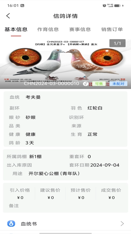 信鸽云