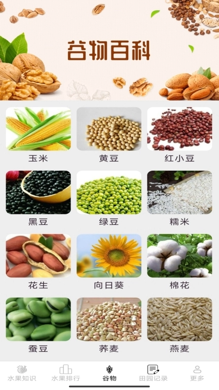 掌上果果多