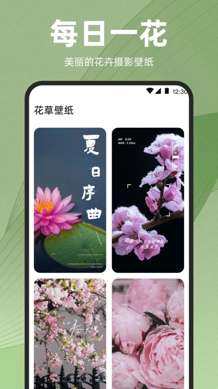 识花iPlant-花草识别