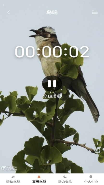 活力乐充