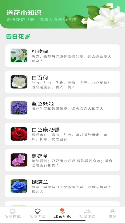 花草多点