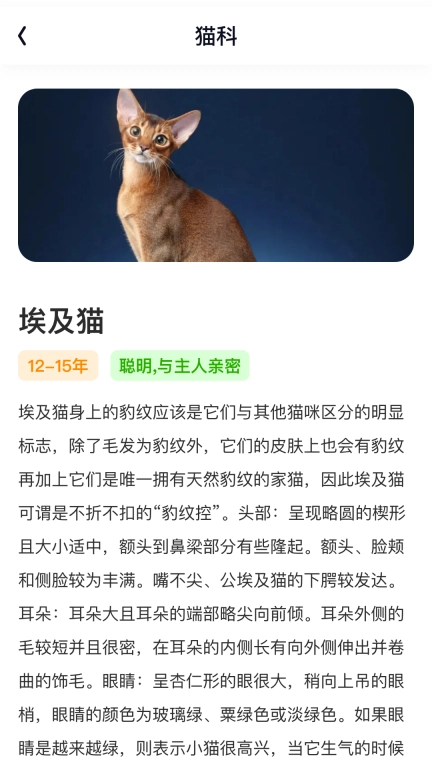 轻赏聚看