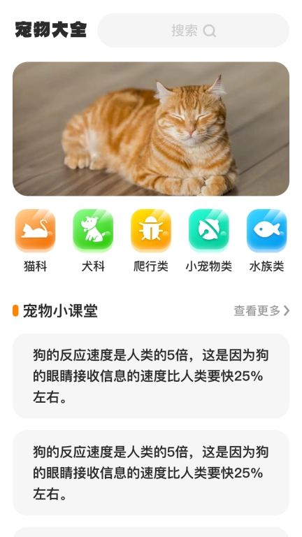 轻赏聚看