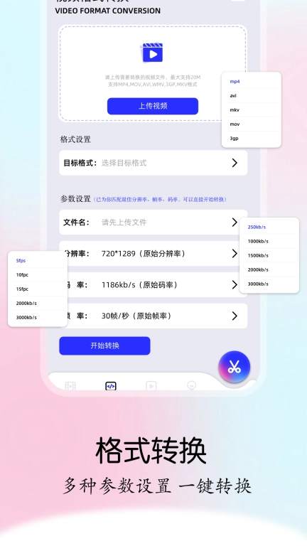 二皮剪辑