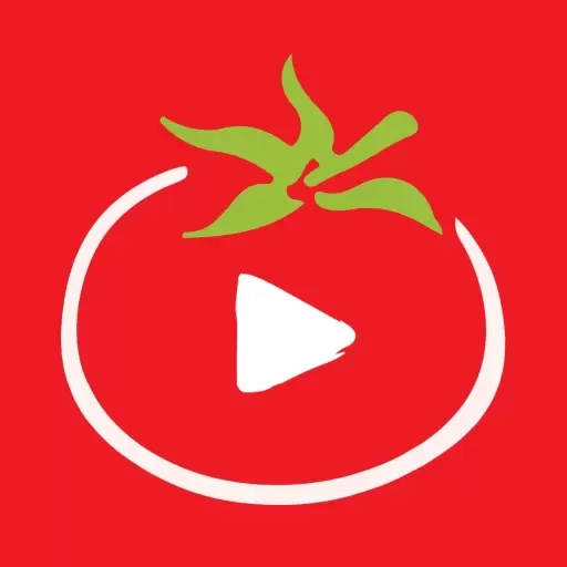 番茄搜讯