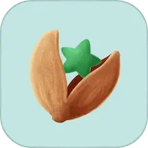 开星果
