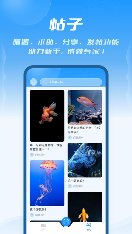 问鱼