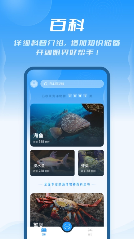 问鱼