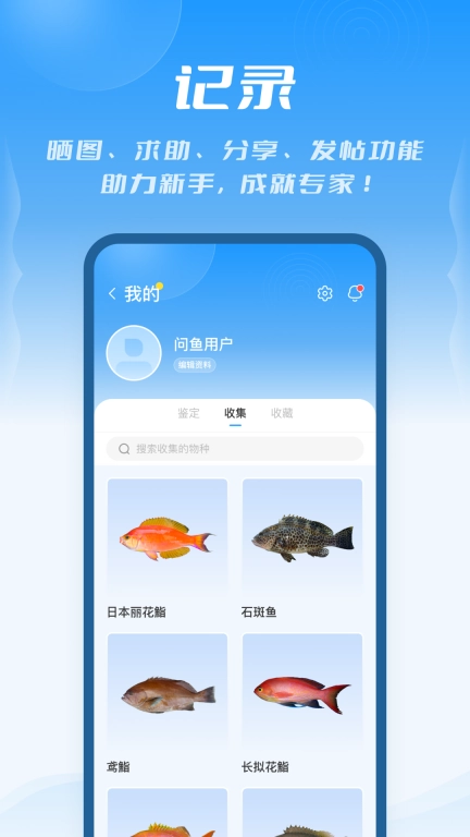 问鱼
