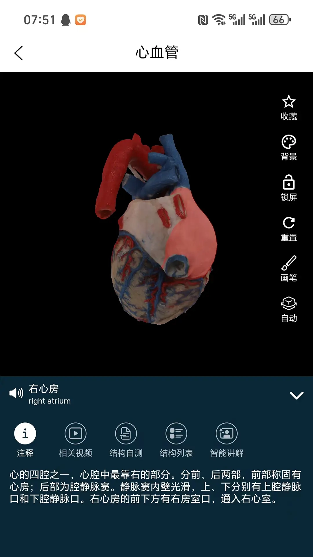 云解剖