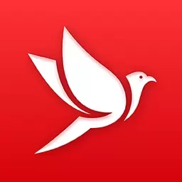 新鸽拍