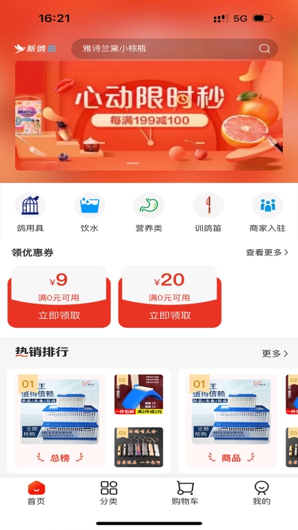 新鸽拍