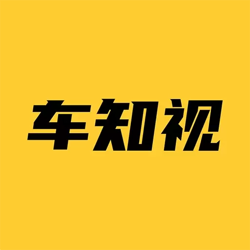 车知视