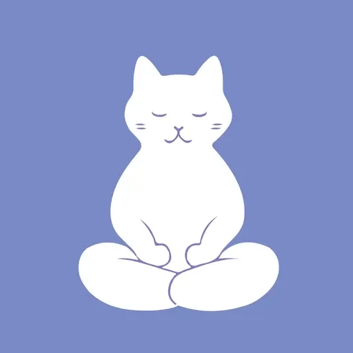 每日提提