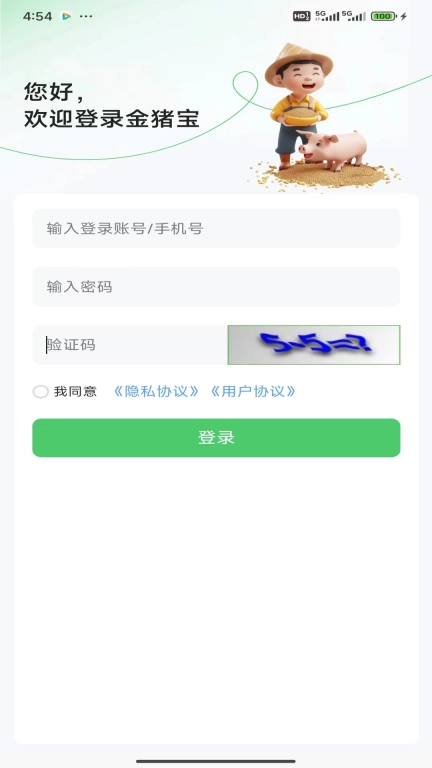 金猪宝-plus