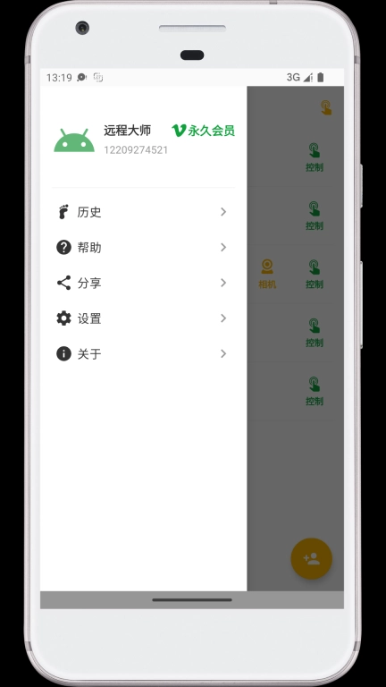 远程大师