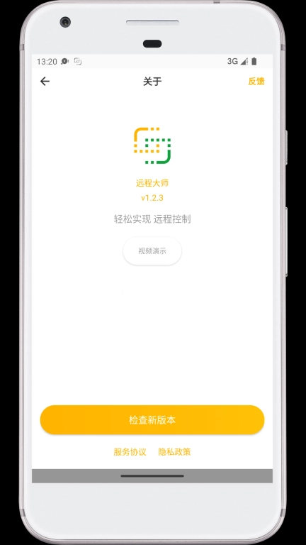 远程大师
