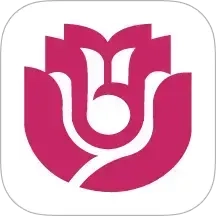 效率通