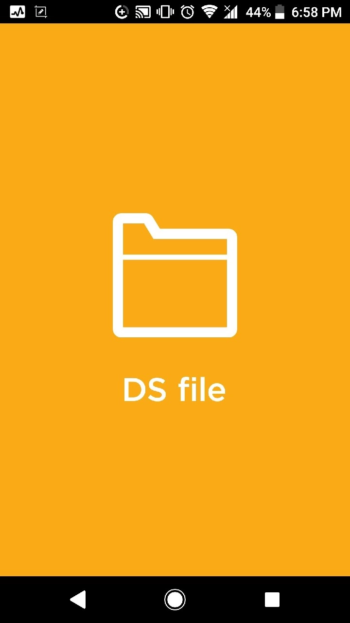 DS file