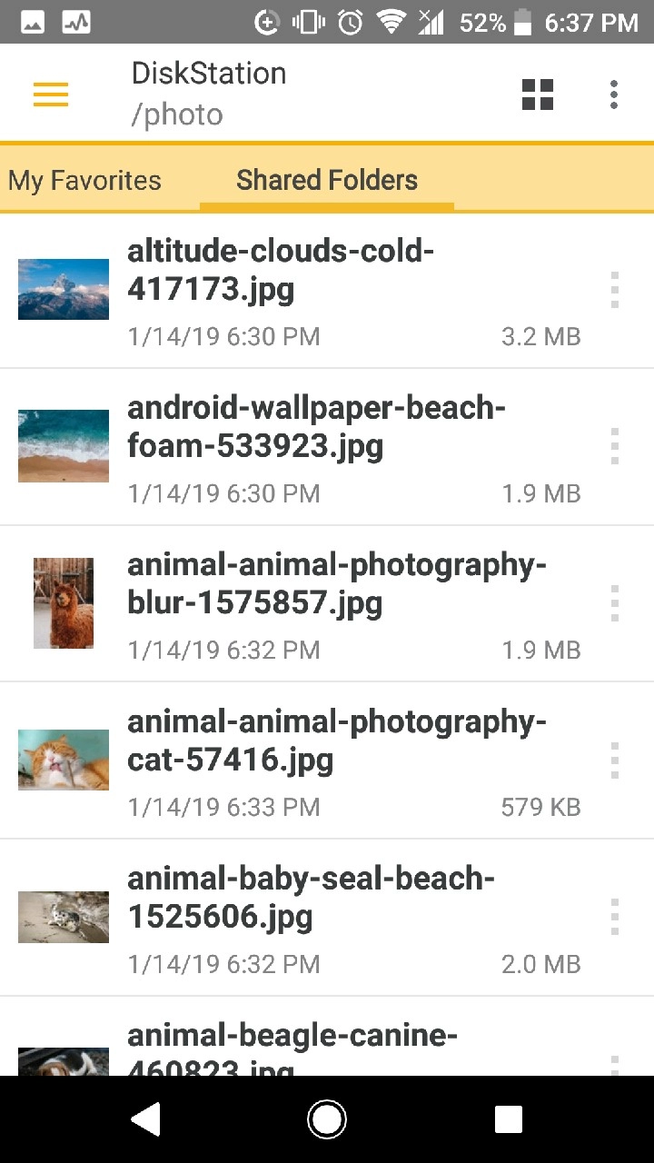 DS file