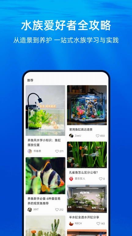 当贝鱼缸