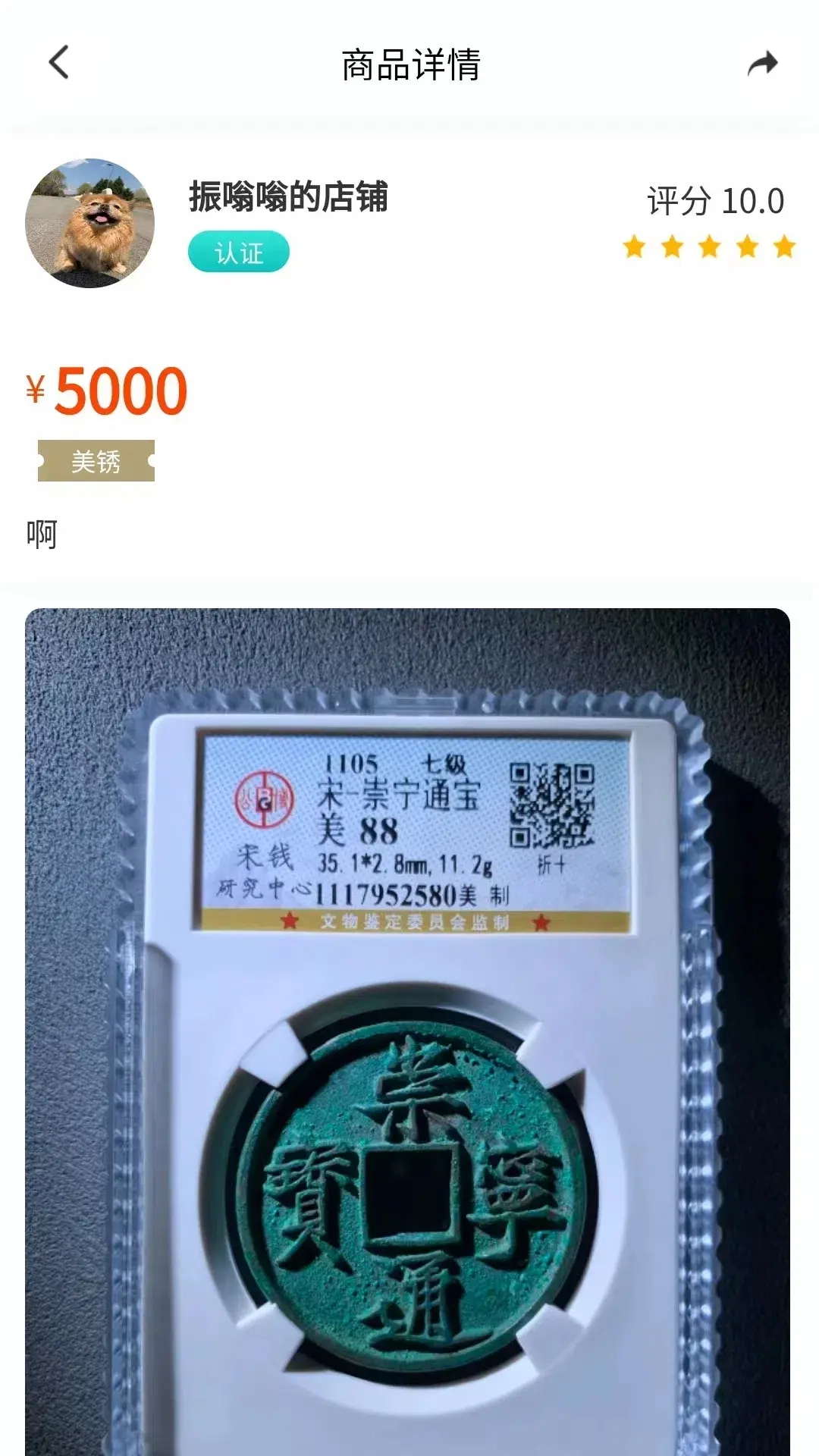 泉藏汇