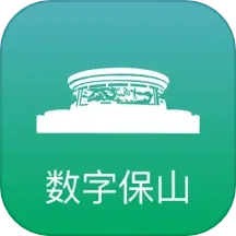 数字保山
