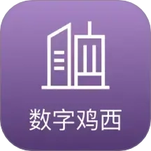 数字鸡西