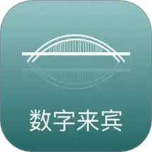 数字来宾