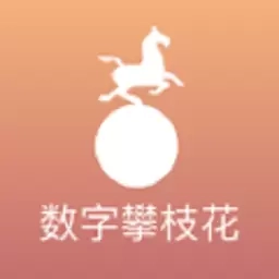 数字攀枝花