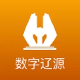数字辽源