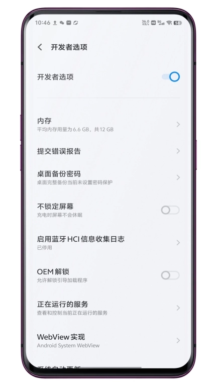 开发者选项快捷方式-开发者模式