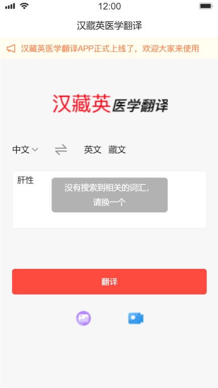汉藏英医学翻译