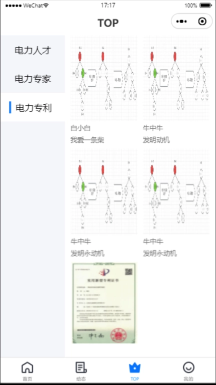 电力者