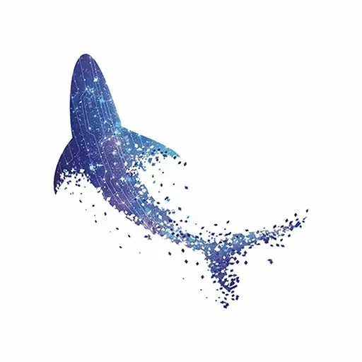 星鲨数字学院