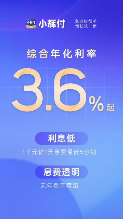小辉付-借款