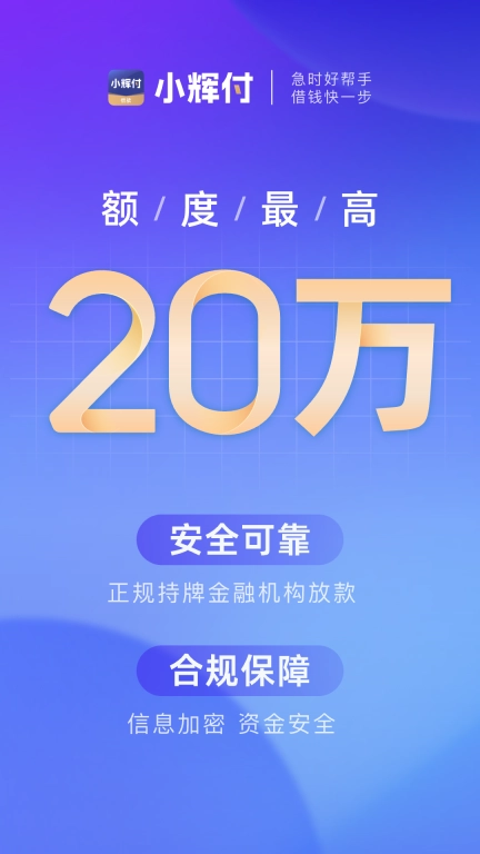 小辉付-借款