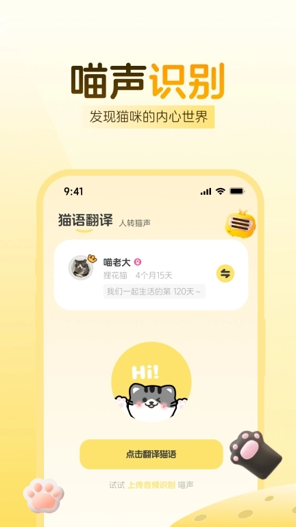 免费猫语翻译