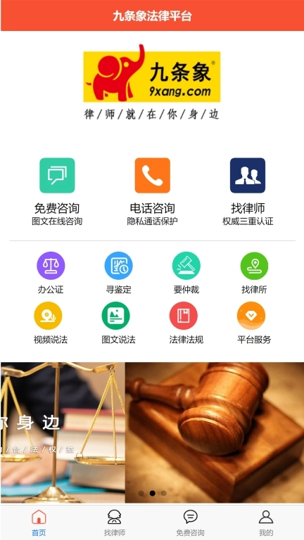 九条象