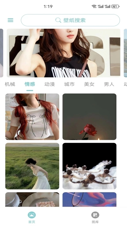 青柏-壁纸
