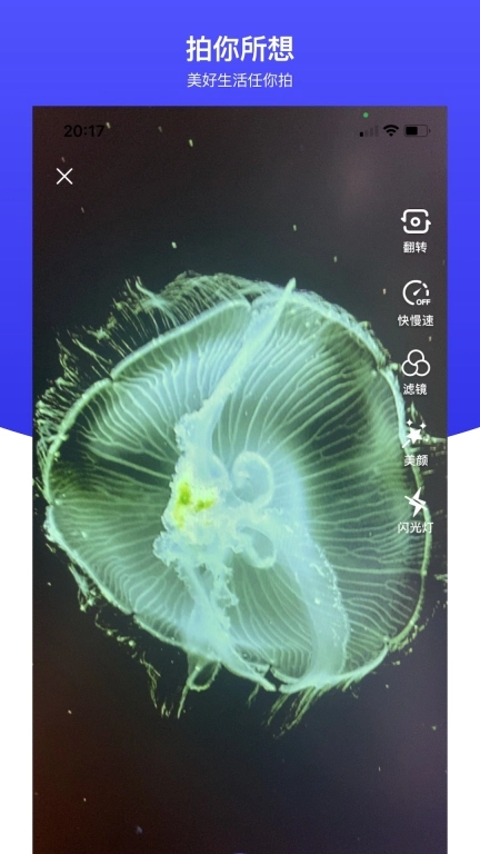 世子播播