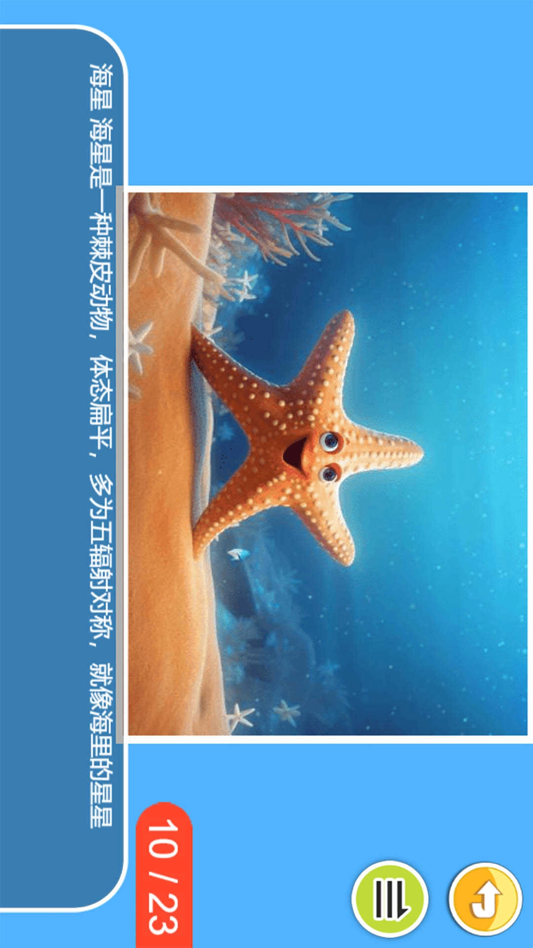 儿童宝宝海洋世界