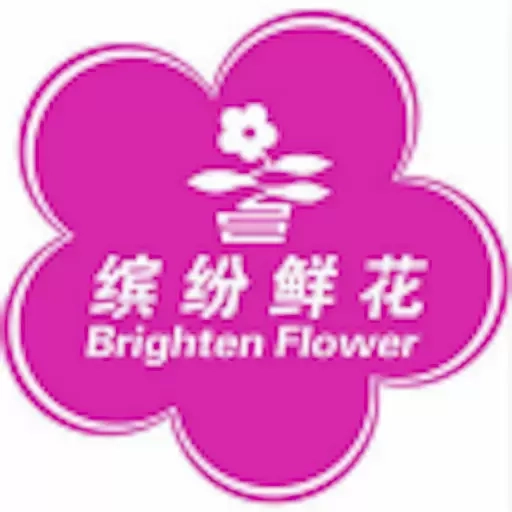 缤纷鲜花