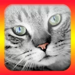 猫语翻译模拟器-人猫交流模拟器