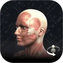 3D Anatomy