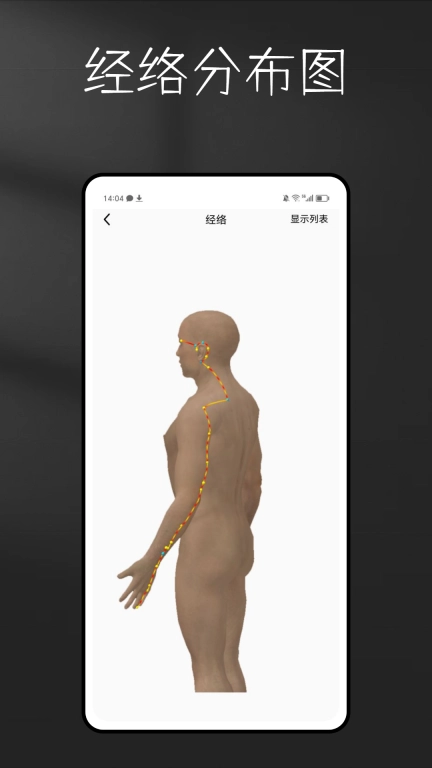 3D Anatomy