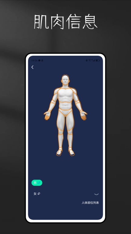 3D Anatomy