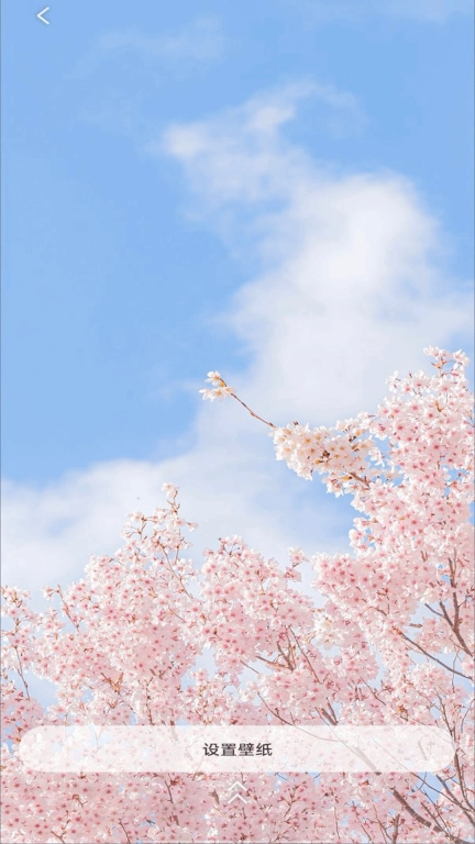 极简桌面
